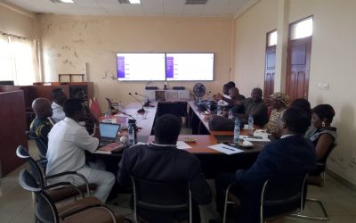 Strengthening Mpox Surveillance in Cameroon: How AI and Public Health Teams Are Joining Forces
